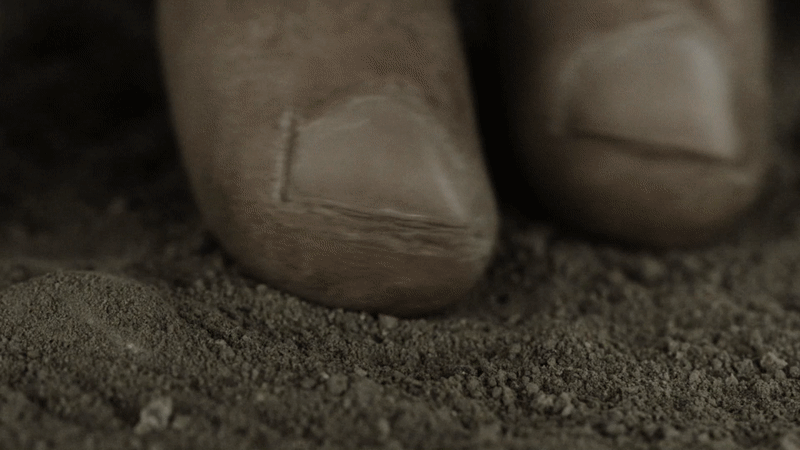 Bad Posture Productions